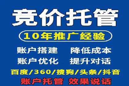 SEM托管服务案例：揭秘高效广告投放